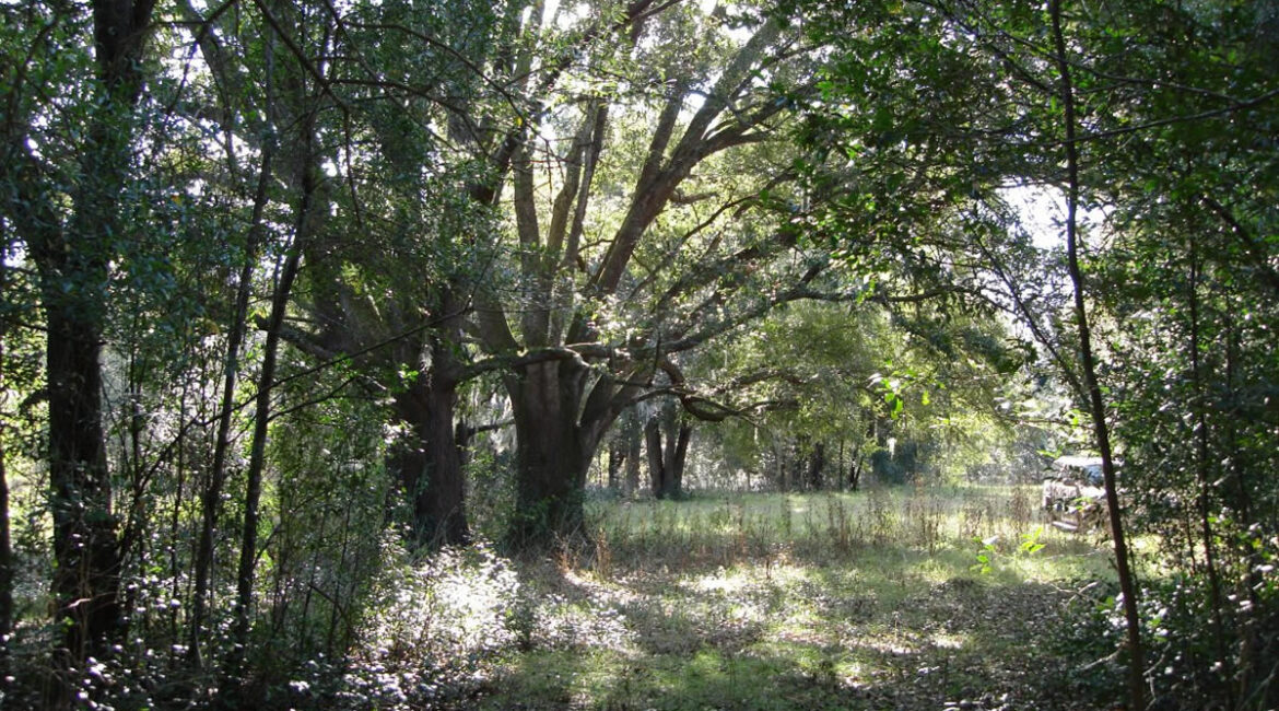 miami-florida-land-forsale-hotpick-hotdealtodas-035-1240×720-1