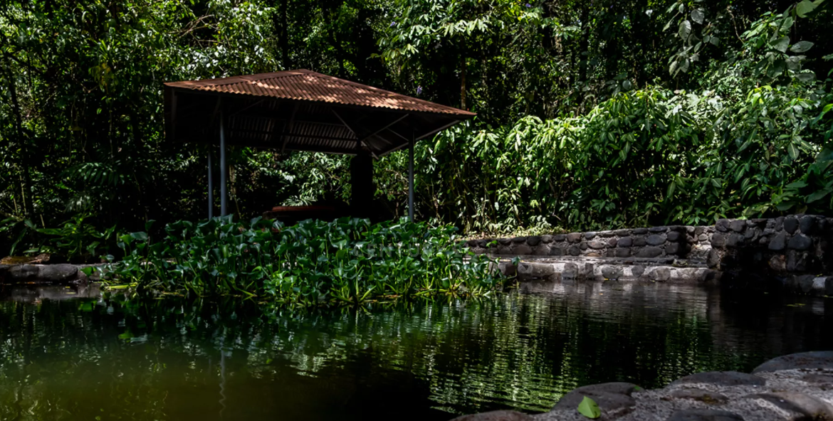 naturalreserveforsalealajuelacostarica6