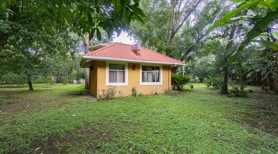 DSC02574