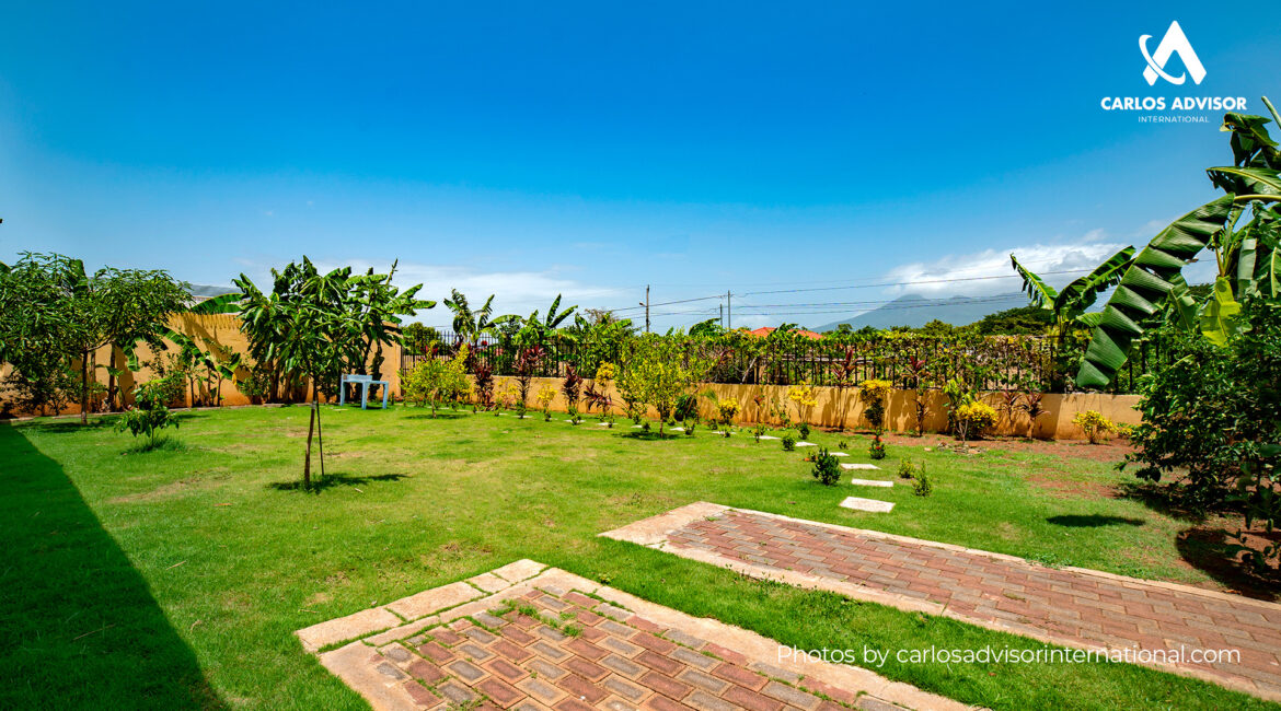DSC05540