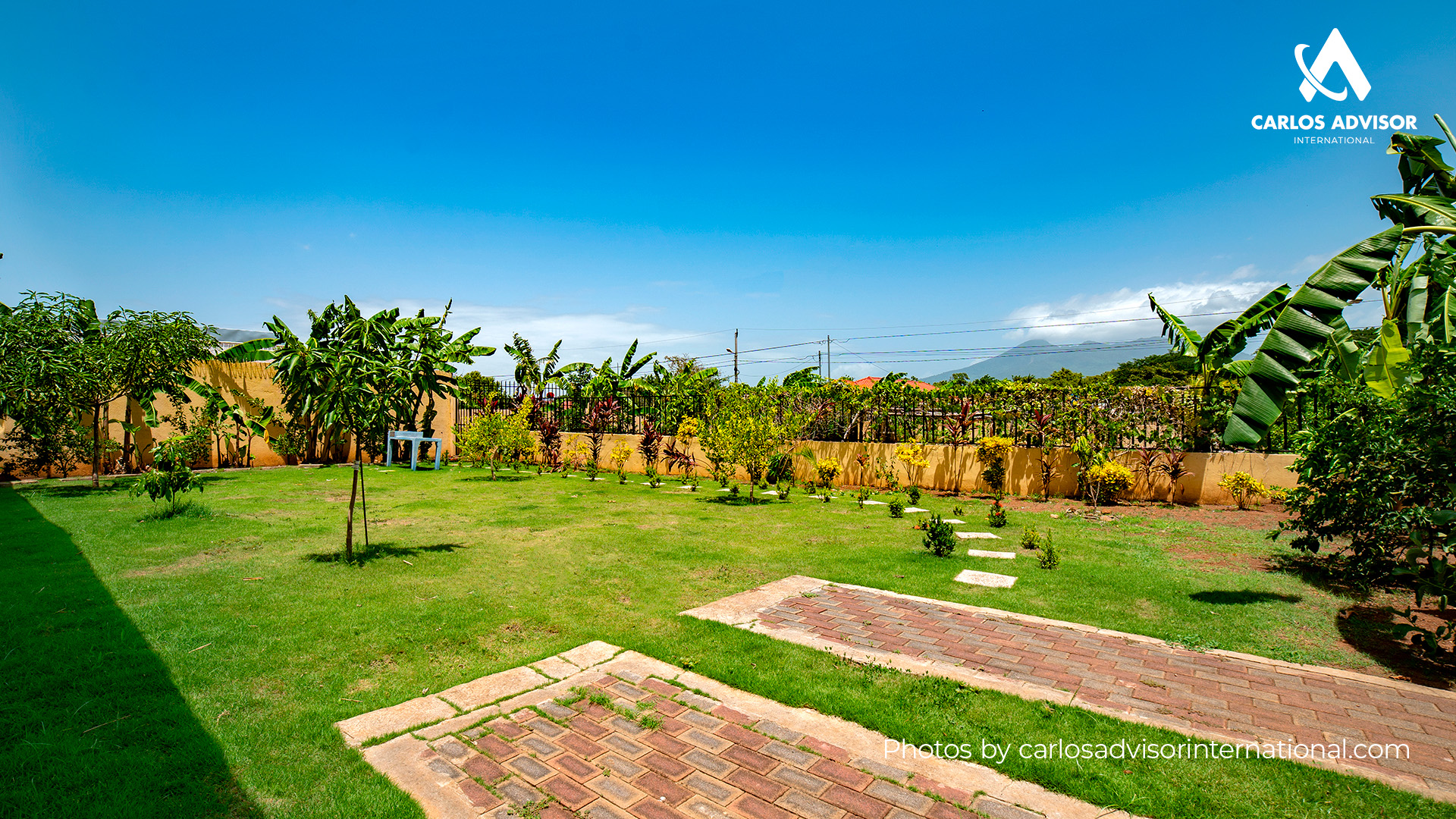 DSC05540
